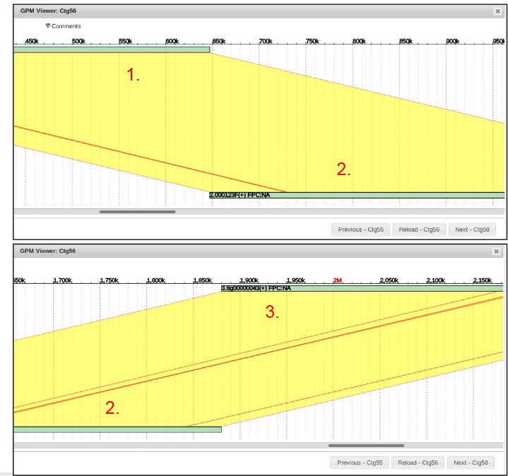 Gap Filling alignment