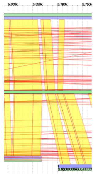 Gap Filling Before merging