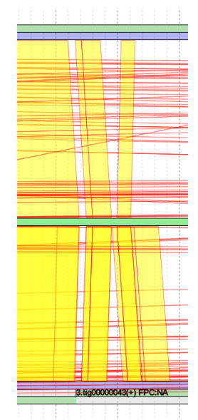 Gap Filling After merging