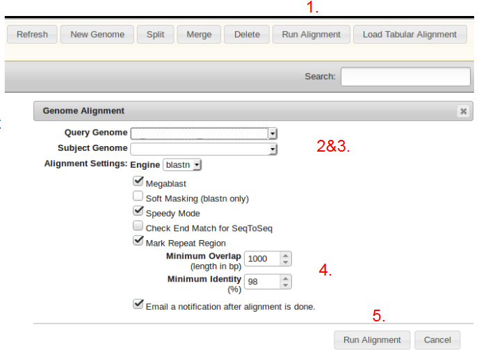 Running Preliminary Alignments